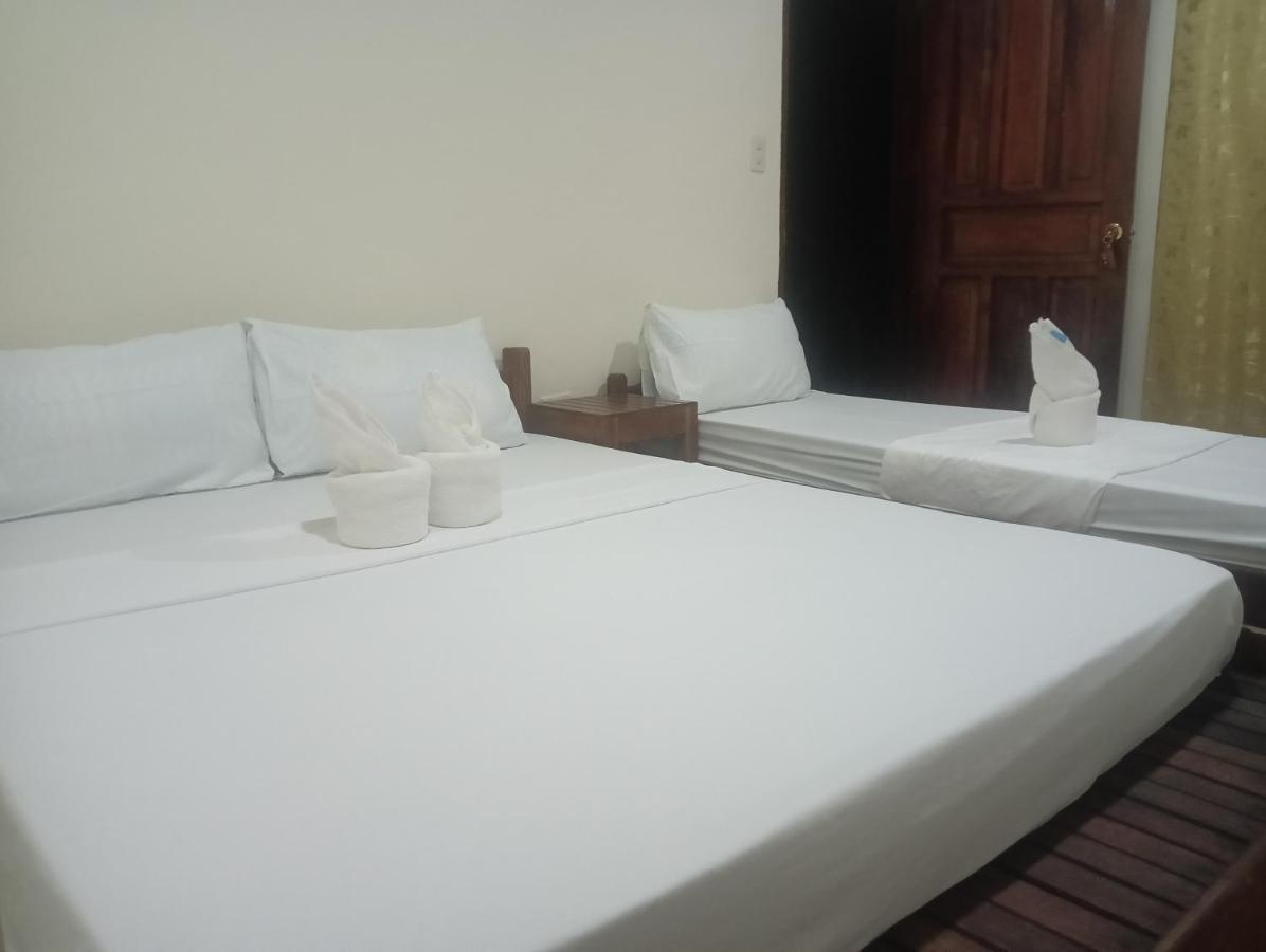 Nay Nildz Pension House San Vicente  Kültér fotó